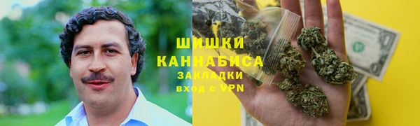 сатива Богородск