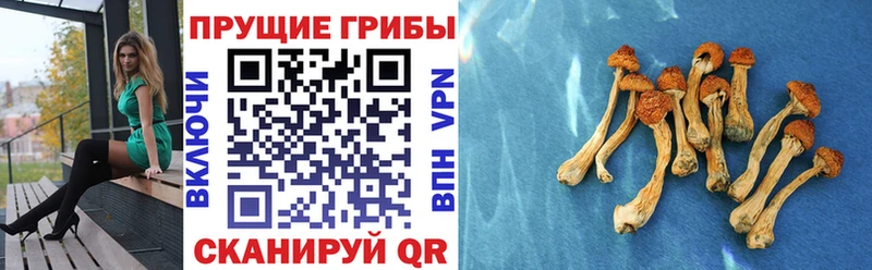 Галлюциногенные грибы GOLDEN TEACHER  Десногорск 